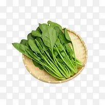 高清筛子里的菠菜-空若网 高清筛子里的菠菜-空若网