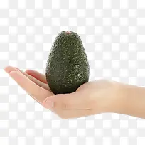 手托牛油果-空若网 手托牛油果-空若网