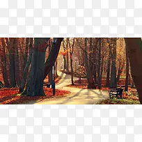 深秋摄影背景-空若网 深秋摄影背景-空若网