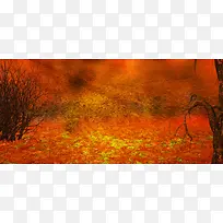 深秋摄影背景-空若网 深秋摄影背景-空若网