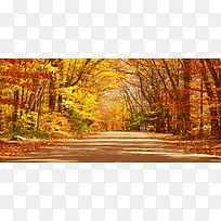 深秋摄影背景-空若网 深秋摄影背景-空若网