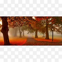 深秋摄影背景-空若网 深秋摄影背景-空若网