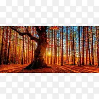 秋天摄影背景-空若网 秋天摄影背景-空若网