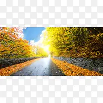 ������Ӱ����-������