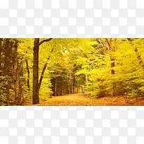 深秋摄影背景-空若网 深秋摄影背景-空若网