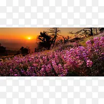 深秋摄影背景-空若网 深秋摄影背景-空若网