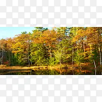 深秋摄影背景-空若网 深秋摄影背景-空若网