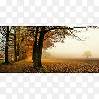 深秋摄影背景-空若网 深秋摄影背景-空若网