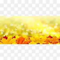 微距摄影背景-空若网 微距摄影背景-空若网