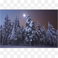 ��ɫΨ�������¹�-������