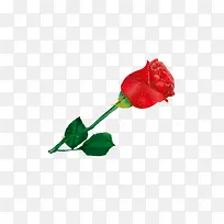 õ��-������