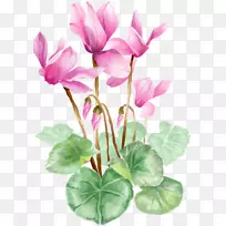 插花艺术-睡莲-空若网 插花艺术-睡莲-空若网