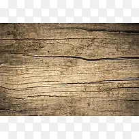 ����ľͷ���Ʊ���-������