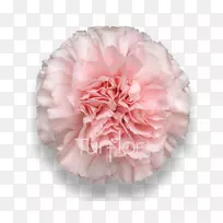 �컨����ܰ�л����겪�޵ڻ�-������