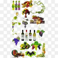 矢量蔬菜水果素材-空若网 矢量蔬菜水果素材-空若网