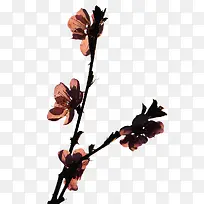 桃花剪影-空若网 桃花剪影-空若网