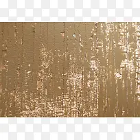 ����ľ�Ʊ���-������