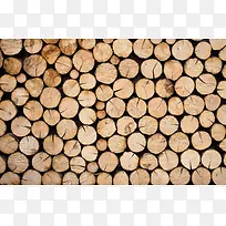 ľ�ı���-������