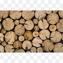 ��ľ����-������