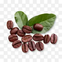 创意摄影红色的咖啡豆叶子-空若网 创意摄影红色的咖啡豆叶子-空若网