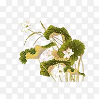 国画荷花-空若网 国画荷花-空若网