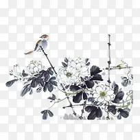 国画花鸟-空若网 国画花鸟-空若网