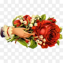 ��ͨԪ�ؿ�ͨ����ʸ��ͼ-������