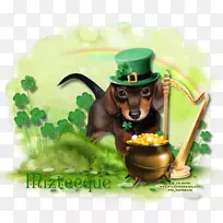 达克斯狗小狗博客-圣帕特里克-空若网 达克斯狗小狗博客-圣帕特里克-空若网