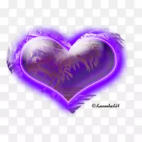 薰衣草紫罗兰紫爱-拉凡达-空若网 薰衣草紫罗兰紫爱-拉凡达-空若网