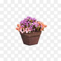 ��Ӱͼ ����-������