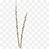 ÌÒÖ¦-¿ÕÈôÍø ÌÒÖ¦-¿ÕÈôÍø