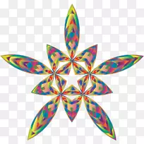 �Գ�����ͼ��-��������-������