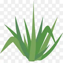 简单小草缥缈的小草-空若网 简单小草缥缈的小草-空若网