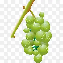 ����pngʸ���ز�-������