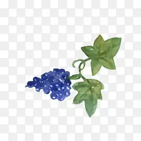 葡萄卡通矢量素材-空若网 葡萄卡通矢量素材-空若网