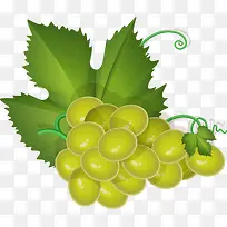 葡萄PNG矢量素材-空若网 葡萄PNG矢量素材-空若网