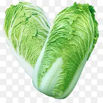 手绘蔬菜手绘图片 大白菜-空若网 手绘蔬菜手绘图片 大白菜-空若网