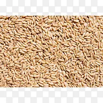 粮食摄影-空若网 粮食摄影-空若网