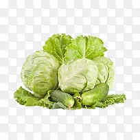 蔬菜包菜-空若网 蔬菜包菜-空若网