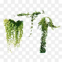 ����-������