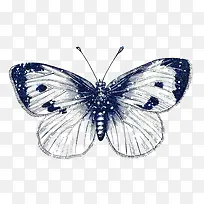 蓝色蝴蝶机翅膀纹理-空若网 蓝色蝴蝶机翅膀纹理-空若网
