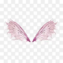 ��ɫ�ĳ��-������