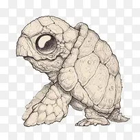 手绘千年海龟-空若网 手绘千年海龟-空若网