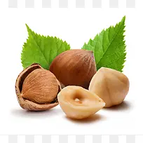 榛子摄影-空若网 榛子摄影-空若网