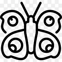 孔雀蝴蝶图标-空若网 孔雀蝴蝶图标-空若网