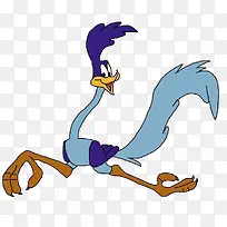 可爱的鸵鸟-空若网 可爱的鸵鸟-空若网