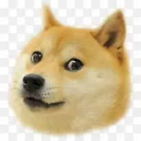 Doge天气Shiba inu doge点击狗蛇-空若网 Doge天气Shiba inu doge点击狗蛇-空若网