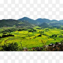 ������ƽţ����˿��羰������Ӱ-������