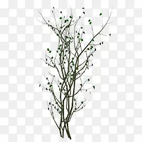 简单的树枝-空若网 简单的树枝-空若网