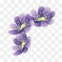 ����-������